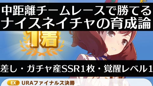 チームレースで勝てる中距離差しナイスネイチャの育成論 出走した全レース一覧とおすすめサポート 因子 ステータス 選択肢を細かく解説 ガチャ産ssr1枚 覚醒レベル1の無課金微課金編成 ウマ娘攻略 もなよのゲームブログ